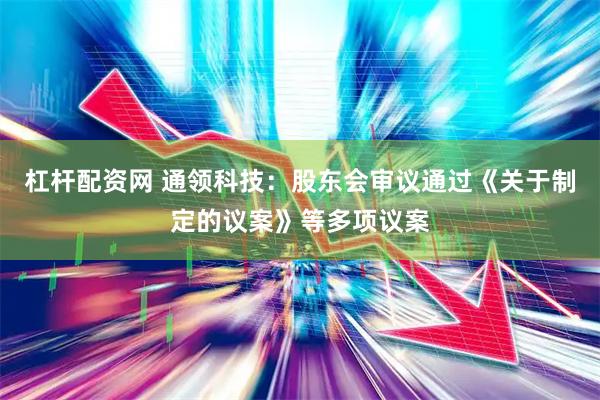 杠杆配资网 通领科技：股东会审议通过《关于制定的议案》等多项议案