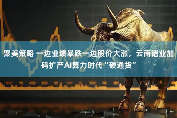 聚美策略 一边业绩暴跌一边股价大涨，云南锗业加码扩产AI算力时代“硬通货”